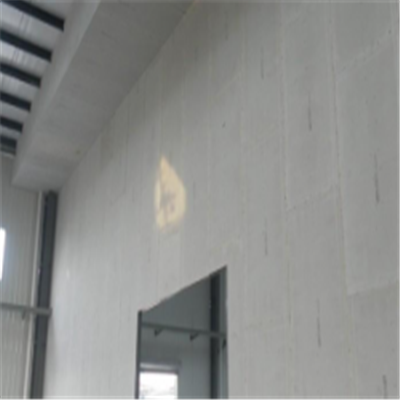 交口宁波ALC板|EPS加气板隔墙与混凝土整浇联接的实验研讨